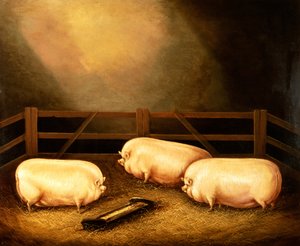 Three Prize Pigs Outside a Sty by English School